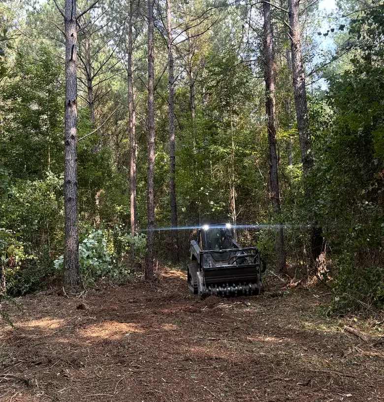 Excavating work by Down South Land Solutions in West Alabama
