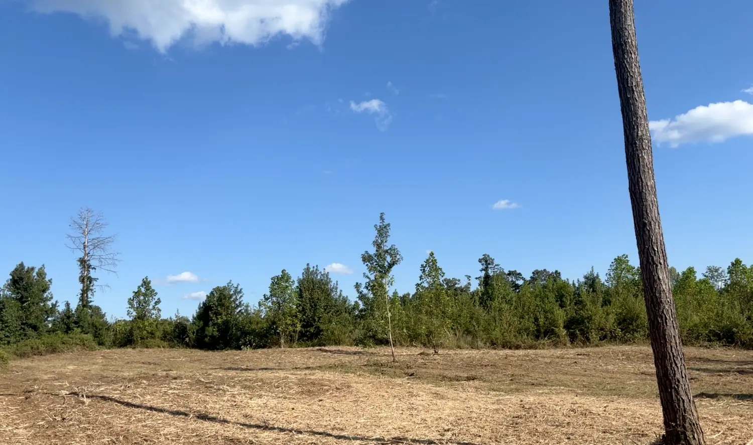 House Pads work by Down South Land Solutions in West Alabama